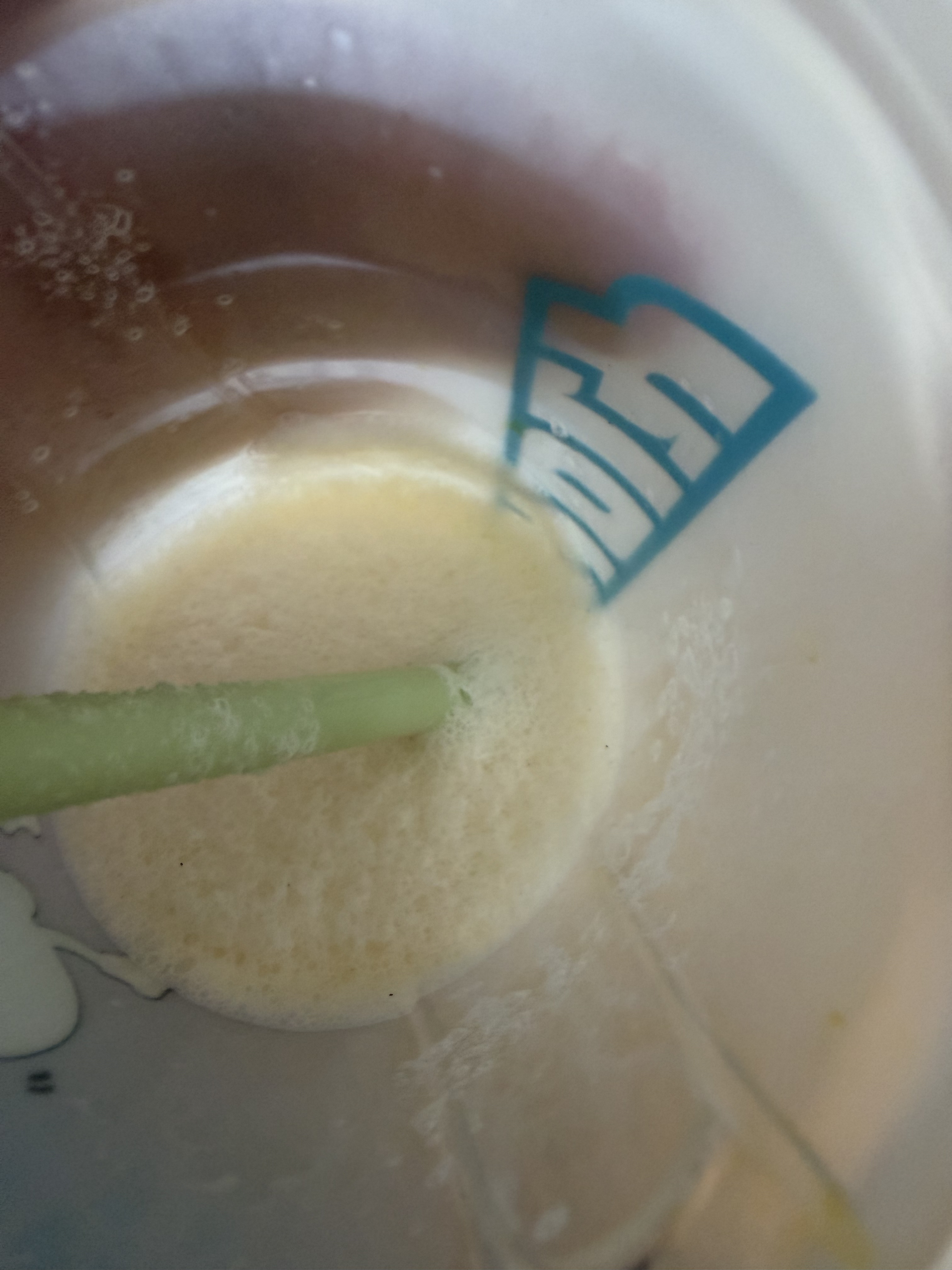 Vanille Milchschake